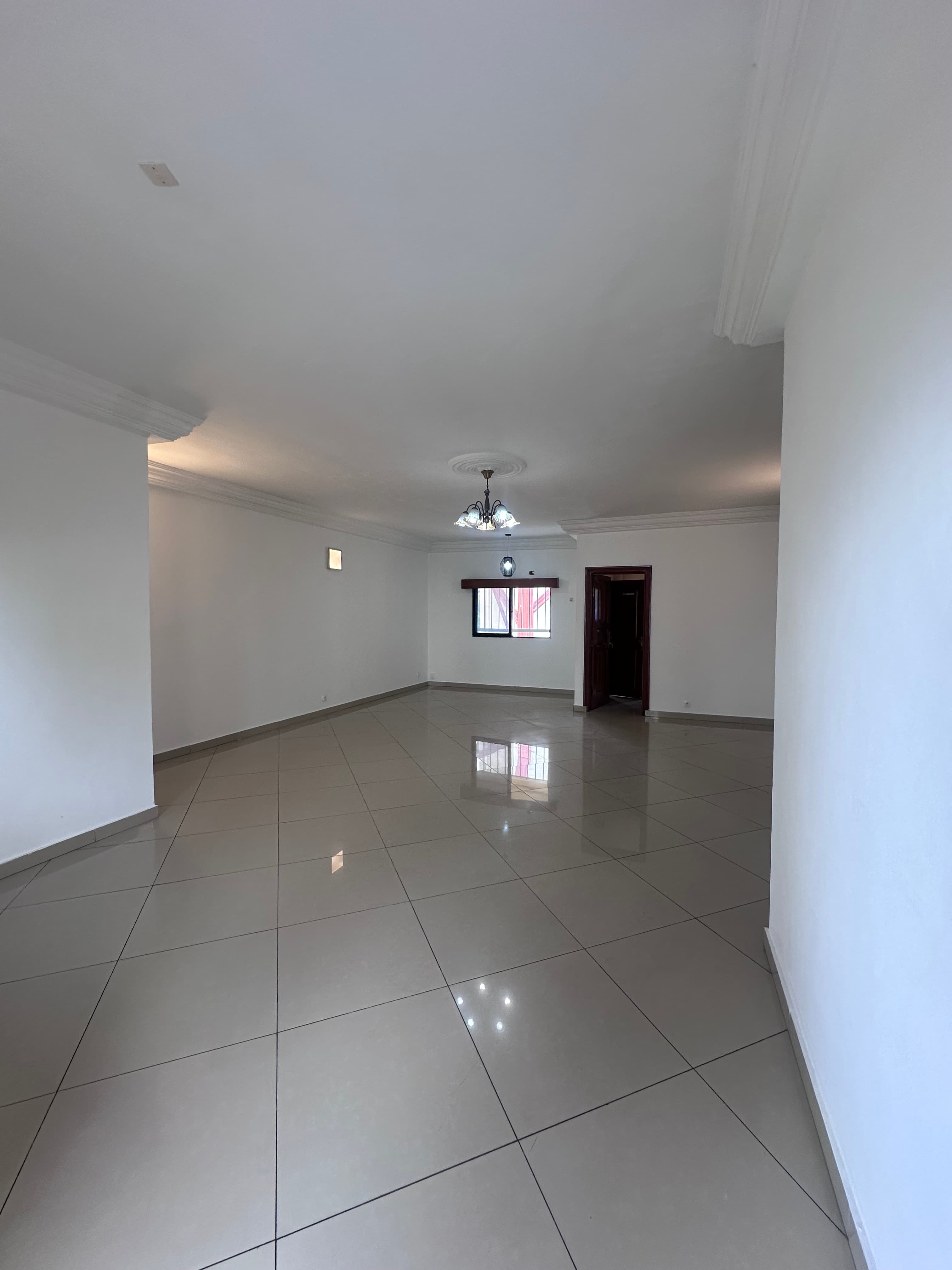 APPARTEMENT À LOUER AU NARVAL - image 2